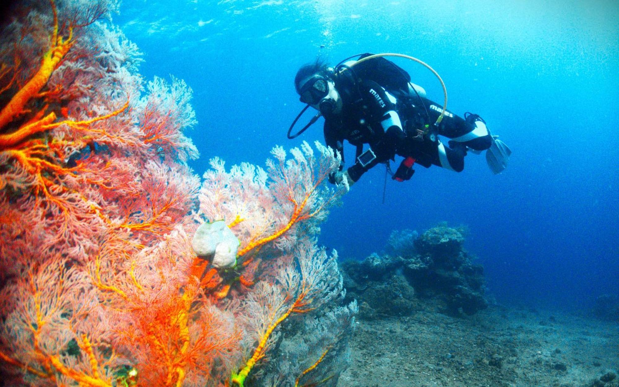 Kura Kura Divers Lodge Amed Exterior foto